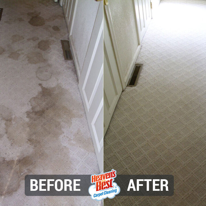 Heaven's Best Carpet Cleaning of Richmond VA